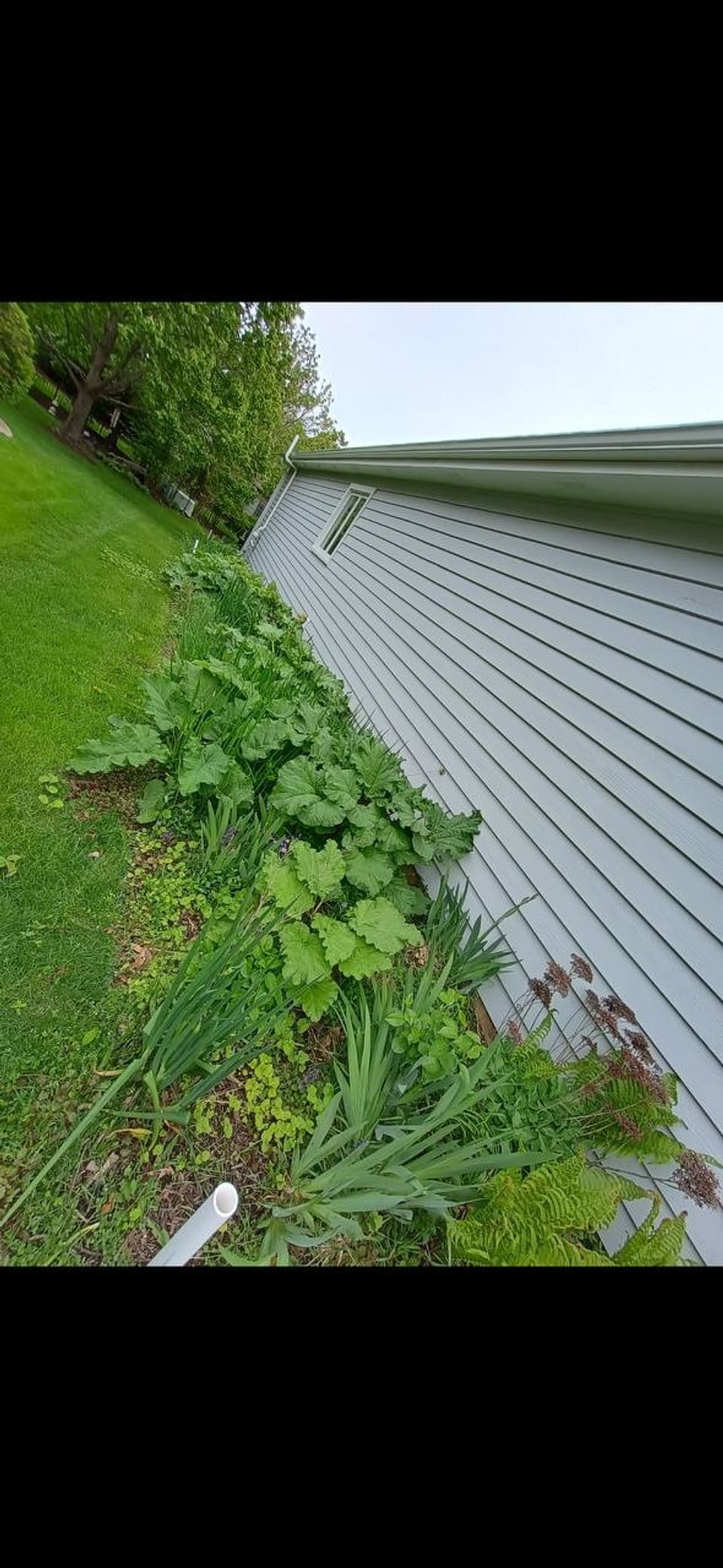 Cleaned side yard landscape bed after Khorscape yard cleanup work